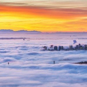 Meet your Posher, Wingki